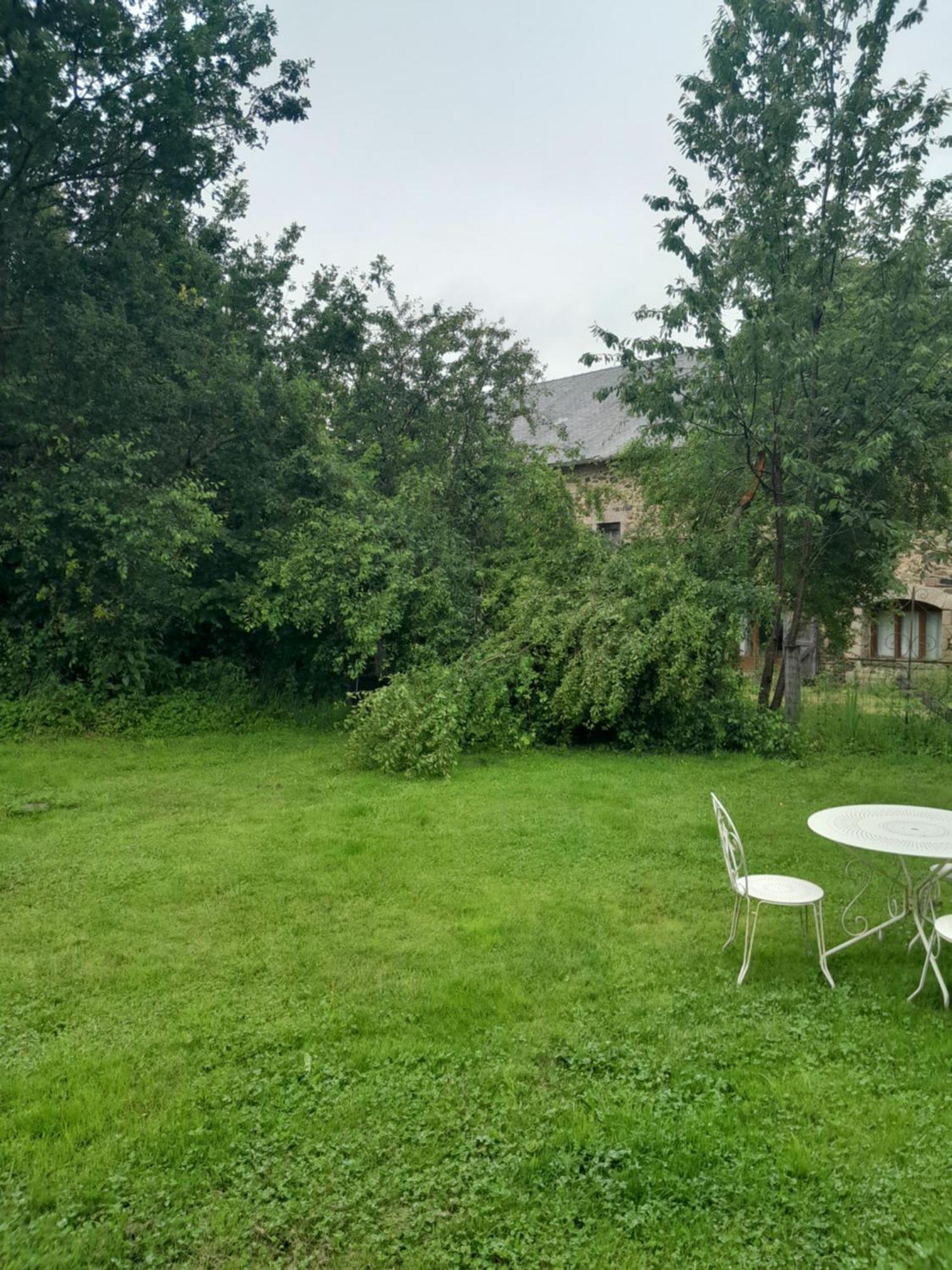 La Petite Salamandre Bleue La Croisille-sur-Briance Eksteriør bilde